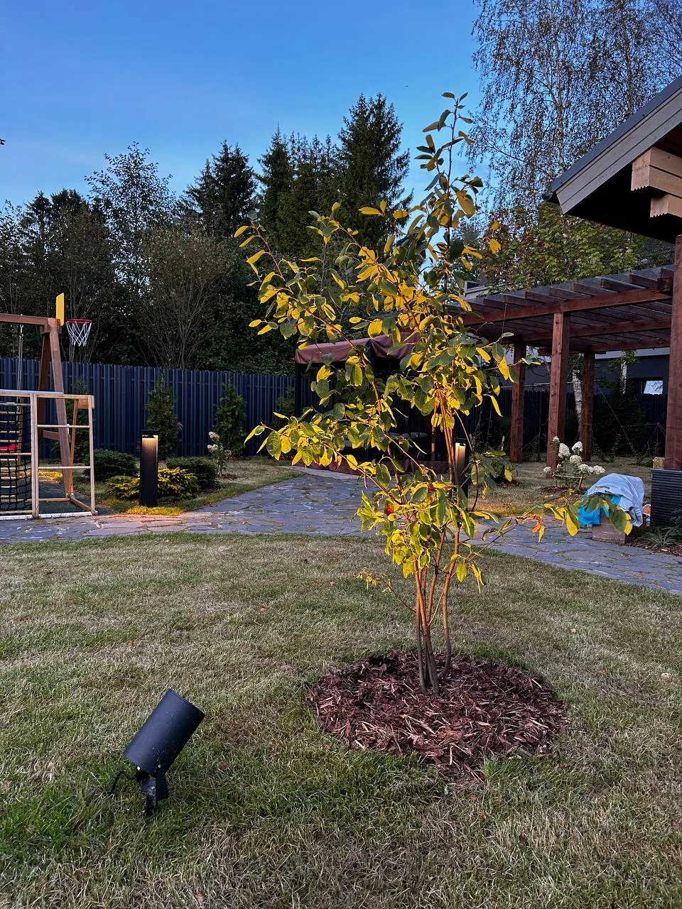 Маркировочное освещение дорожек светильниками высотой 800 мм и Акцентная подсветка клена направленным прожектором Bern