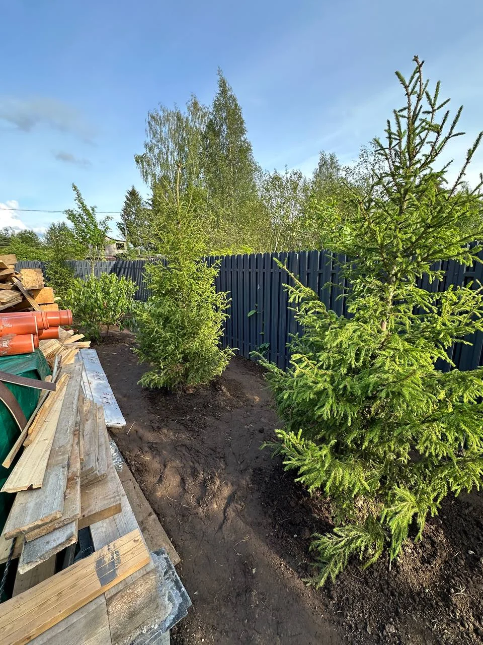 Белоостров