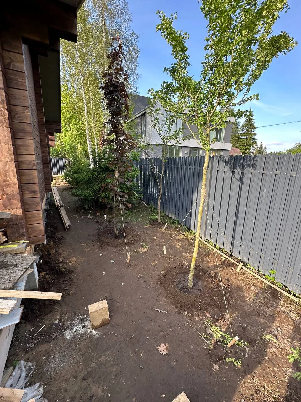 Белоостров