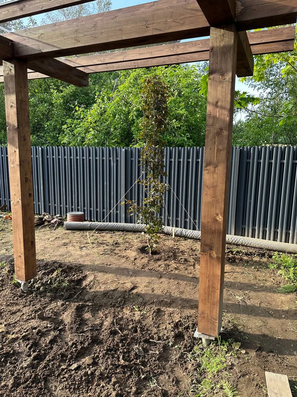 Белоостров