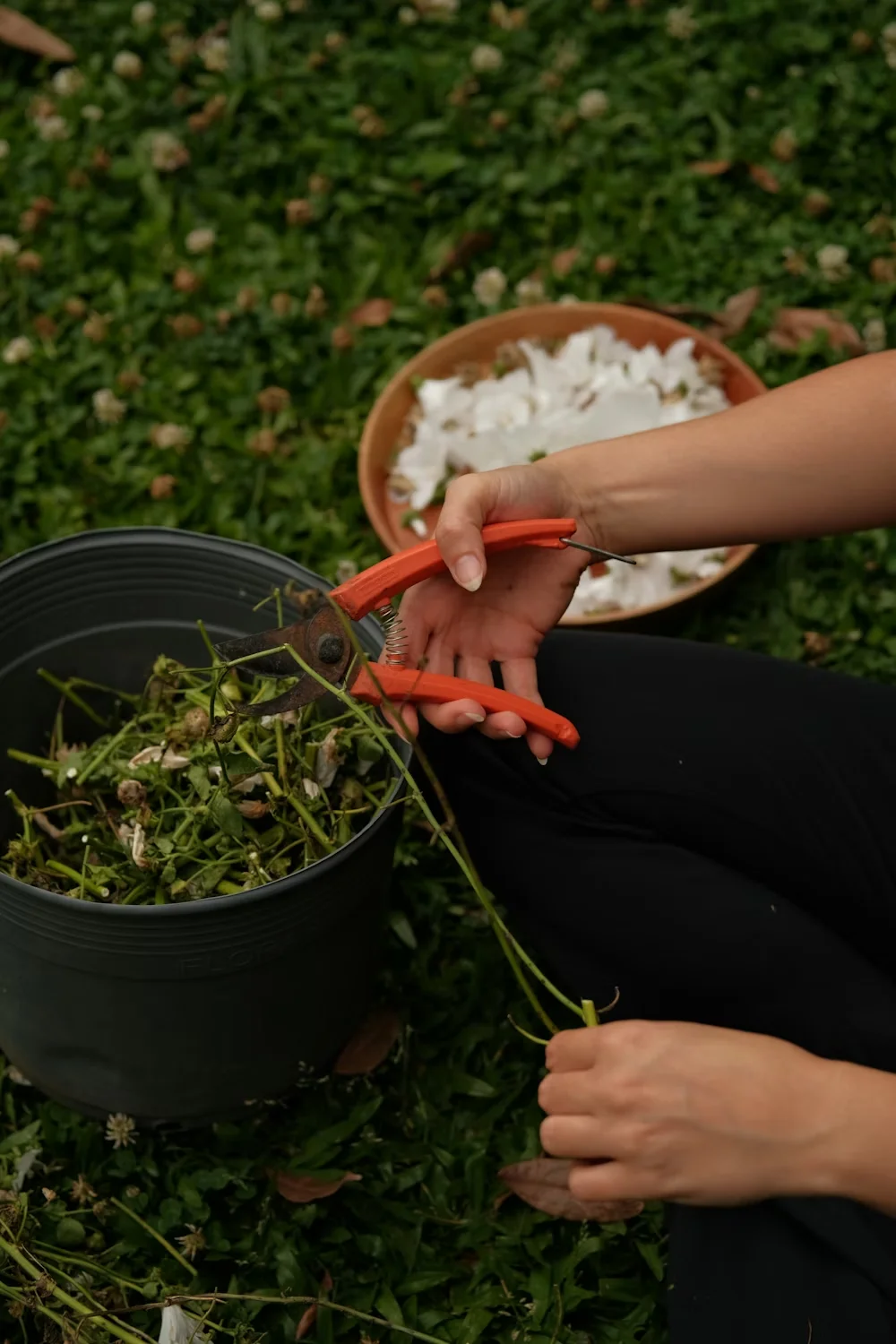 Уход за садом